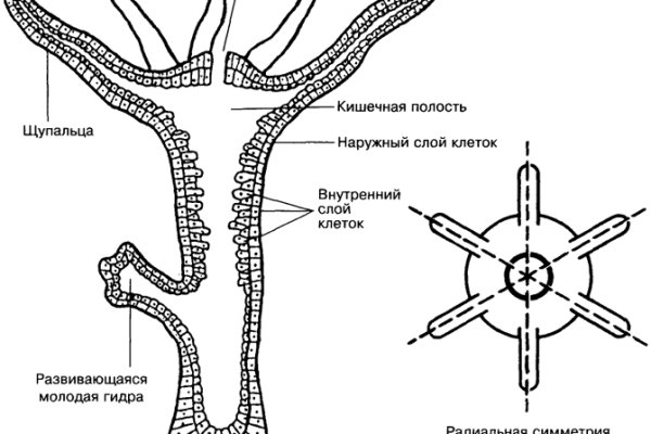 Кракен зеркала официальные