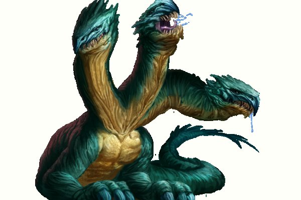 Kraken 14 at
